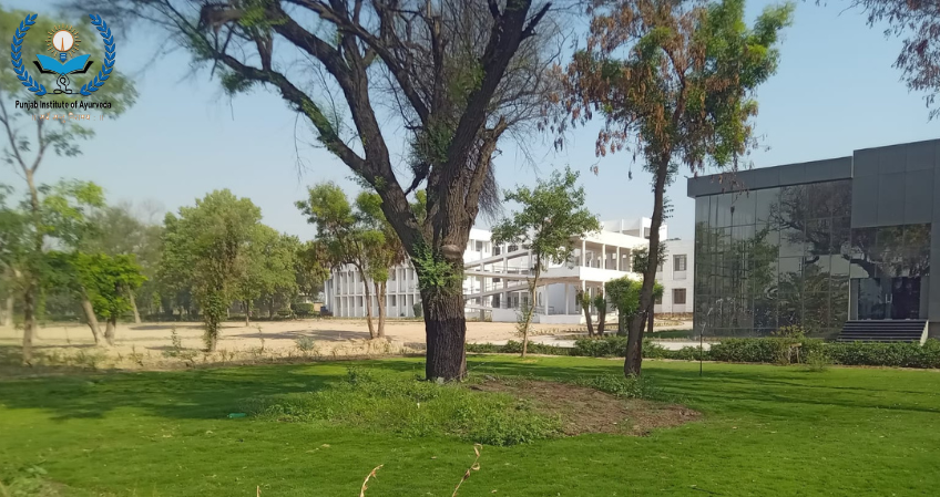 HMC - Abohar