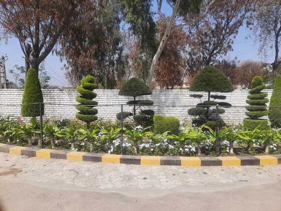 Homoeopathic Medical College and Hospital