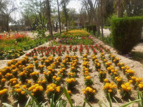 Homoeopathic Medical College and Hospital