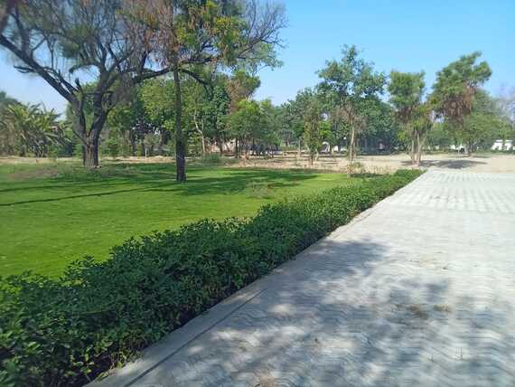 Homoeopathic Medical College and Hospital