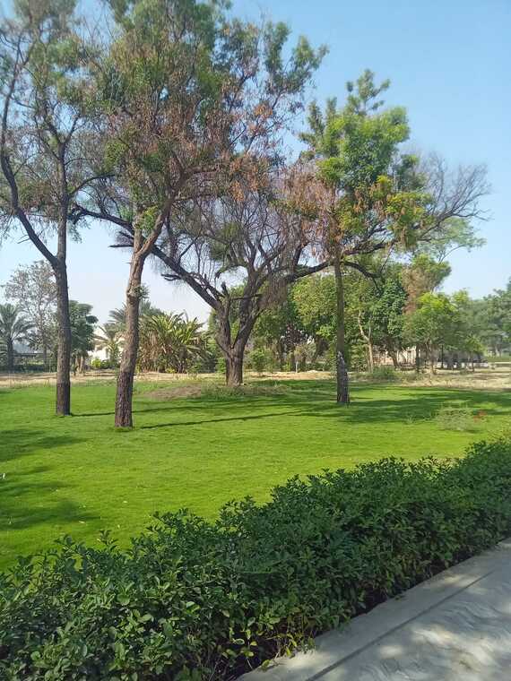 Homoeopathic Medical College and Hospital