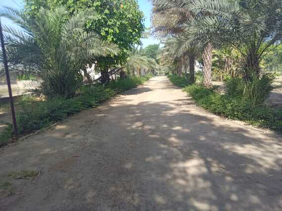 Homoeopathic Medical College and Hospital