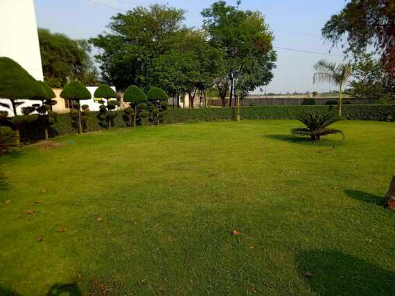 Homoeopathic Medical College and Hospital